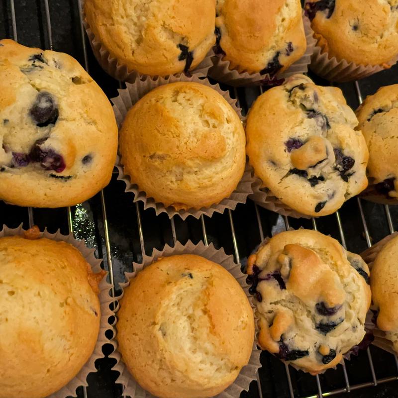 Jordan Marsh’s Blueberry Muffins
